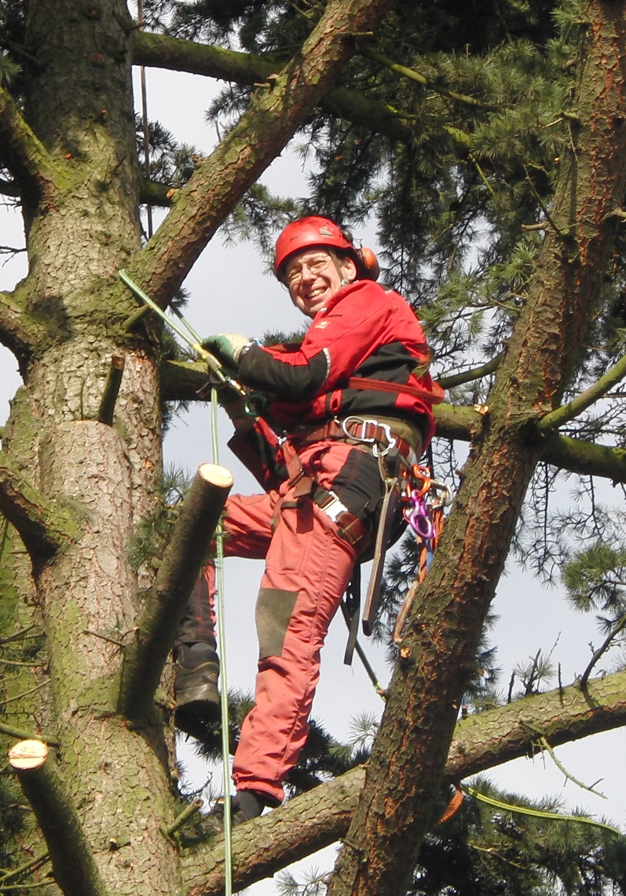 Peter van der Zwaag im Baum